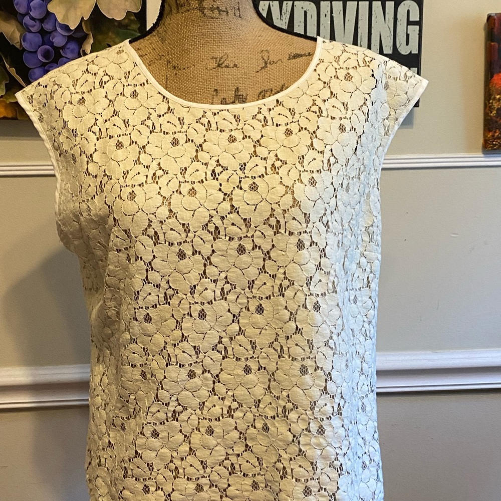 Halogen lace blouse from Nordstrom - size L Petite
